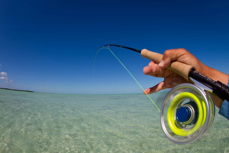 Parting shot from my time in Cuba.....this fish heading for Key West.