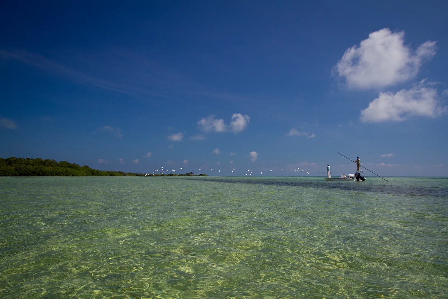 One of the flats where we caught a Permit, and saw many others.