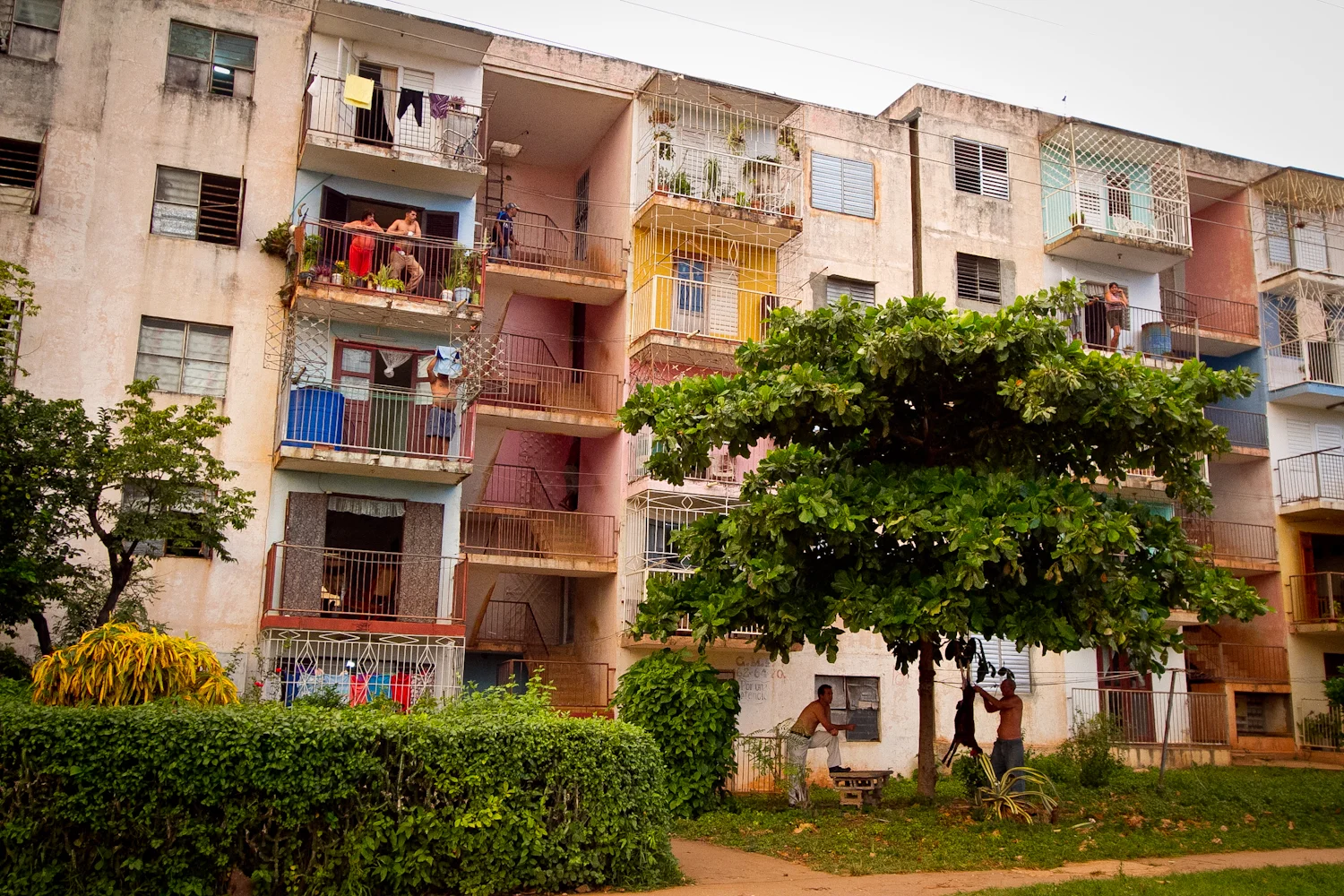 t first glance, just a typical apartment building in Cuba. Look more closely at the men under the tree. They have a freshly butchered goat hanging, while they skin it, right outside the apartment!