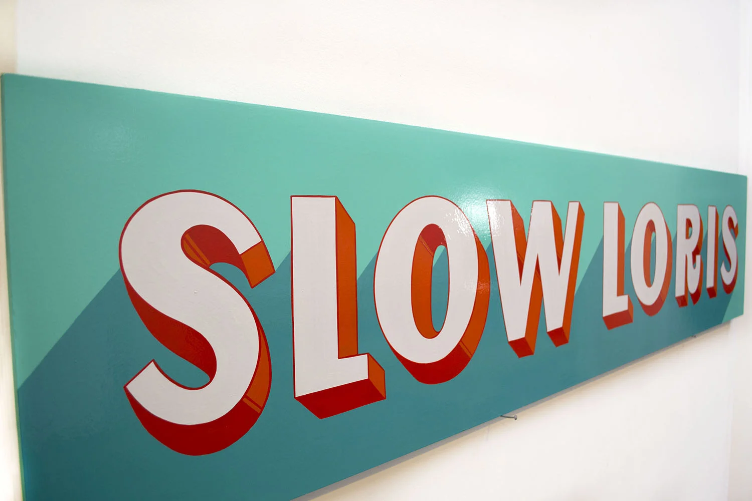 slow_loris2.jpg