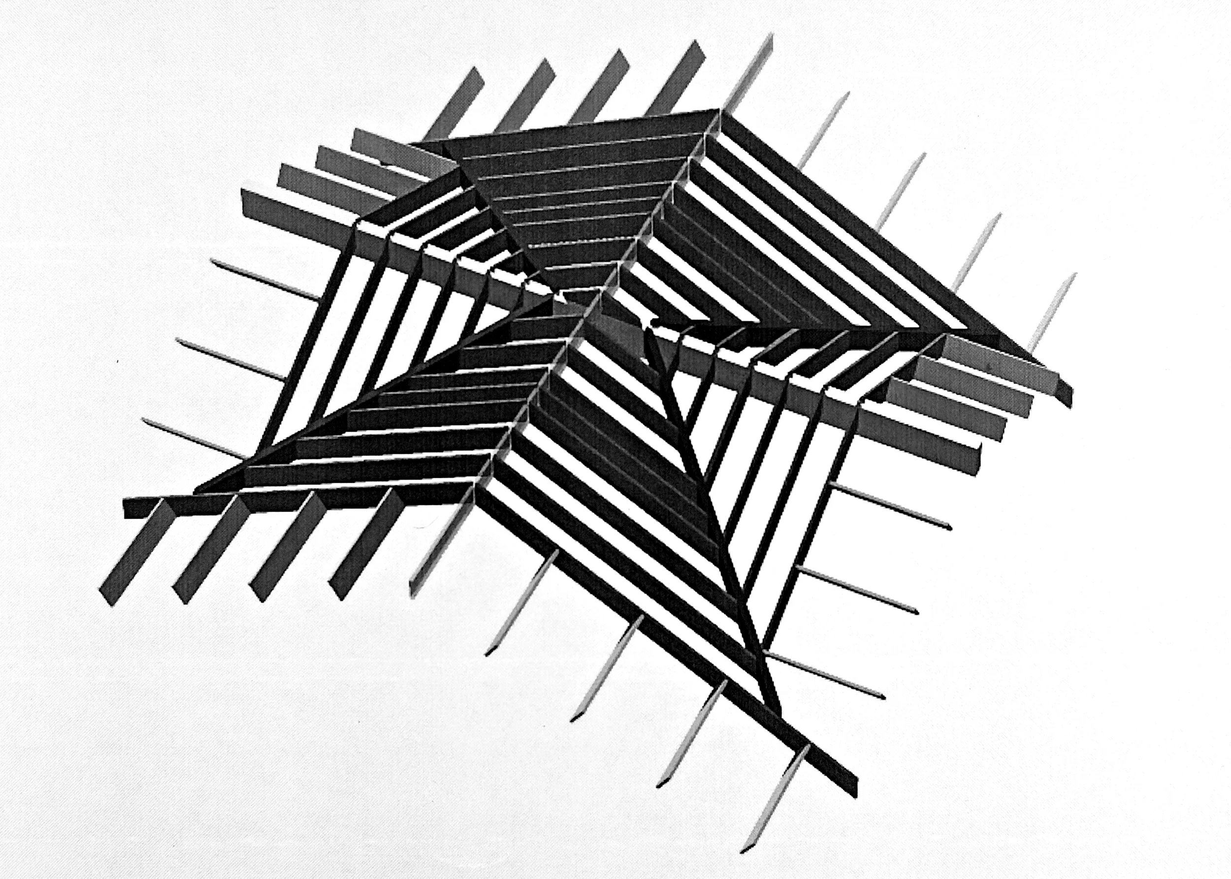 Structural Roof Layout Exposed to Interior