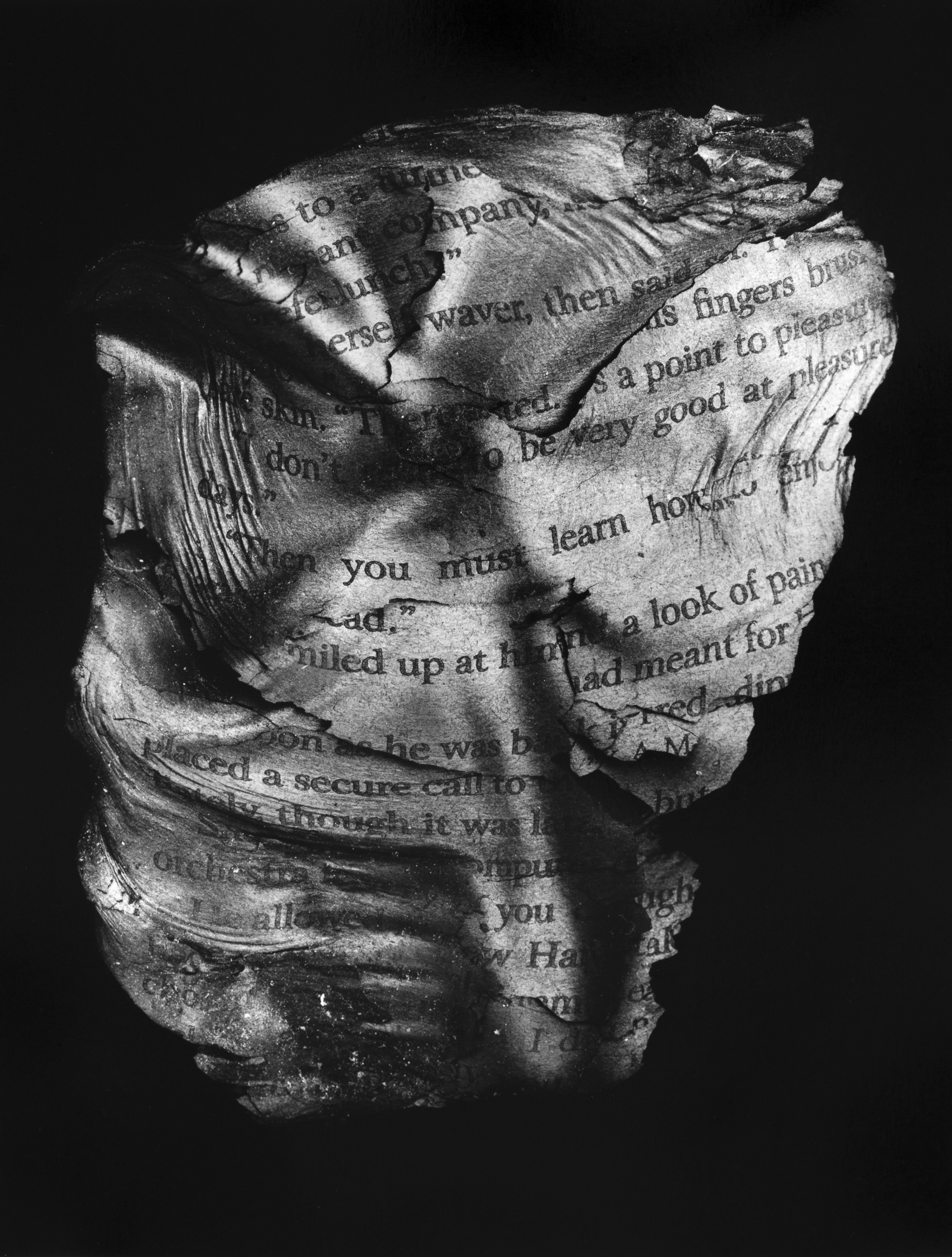 Resurrected Form No.8, 13x10", Toned Silver Gelatin Print, 2014