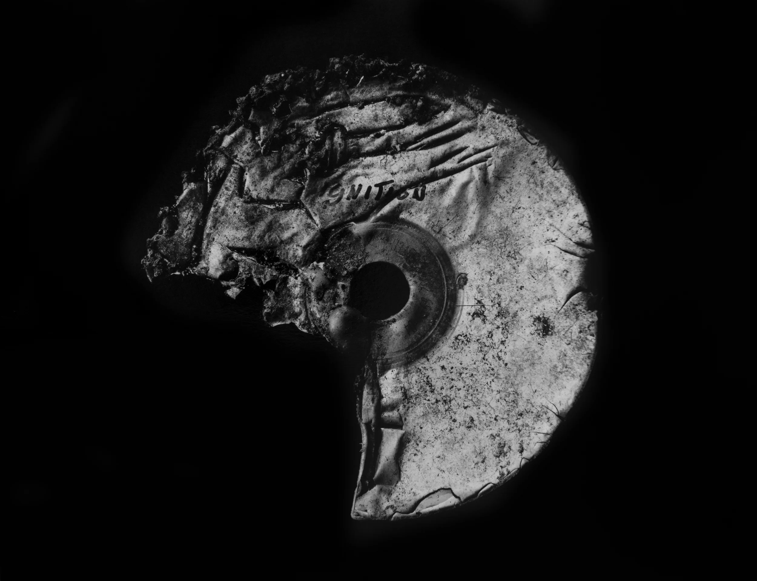 Resurrected Form No.10, 10x13", Toned Silver Gelatin Print, 2014