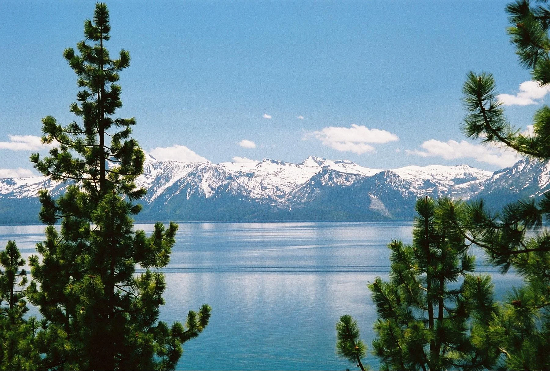 JJ Lake Tahoe.jpg