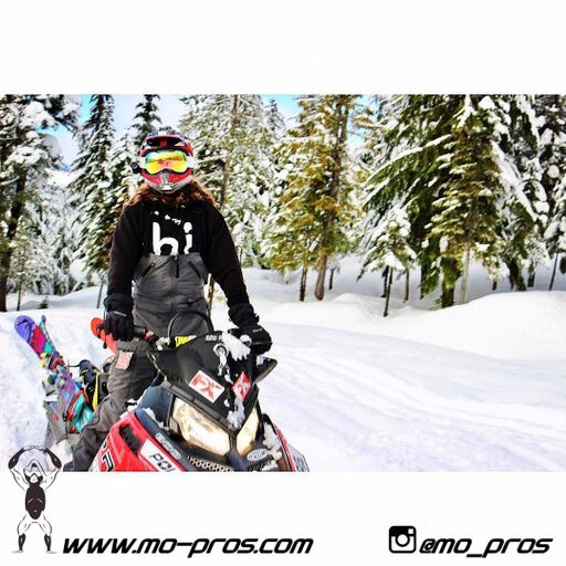 82_Tsaina Rack_Timbersled rack_Timbersled Rack_timbersled bag_snowmobile bag_Snowmobile_Snowboarding_Snowboard rack_snowboard_Snowbike_Ski_Rack_LinQ Snowboard_Ski_Gun Rack_Gear_gas Rack_Cheetah Factory Racing.jpeg