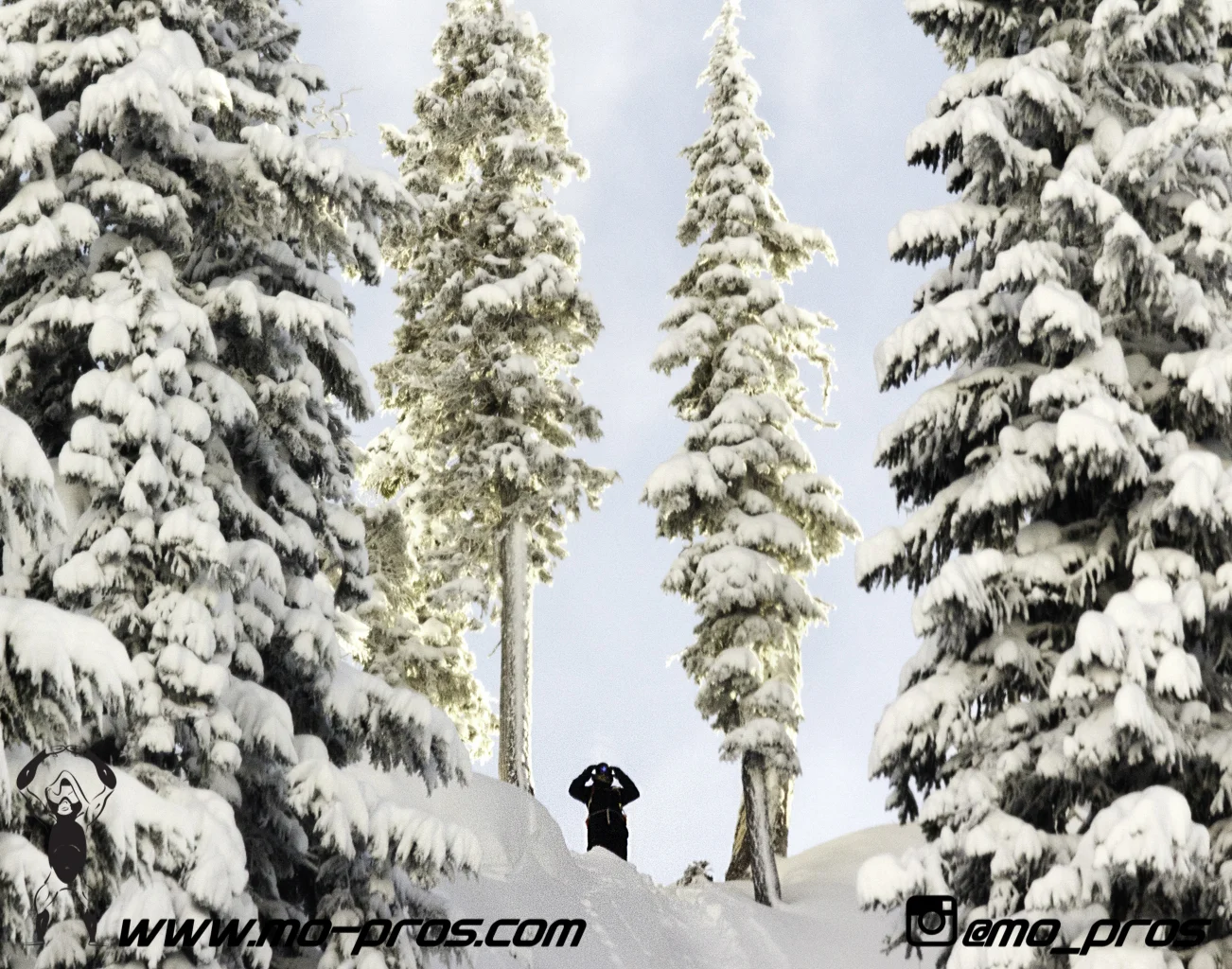 49_Snowbike_Timbersled Rack_Tsaina Rack_CFR rack_Cheetah Factory Racing_Snowboard rack_snowboard_snowmobile bag_Snowmobile_timbersled bag_gas Rack_Gear_Gun Rack_LinQ Snowboard Ski_Ski_Snowboarding_Ti.jpg