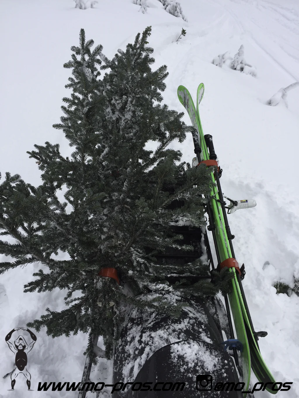 71_Backcountry _Backcountry United_CFR rack_Cheetah Factory Racing_gas Rack_Gear_Gun Rack_LinQ Snowboard Ski_Rack_Ski_Snowbike_snowboard_Snowboard rack_Snowboarding_Snowmobile_snowmobile bag_timbersl.jpg