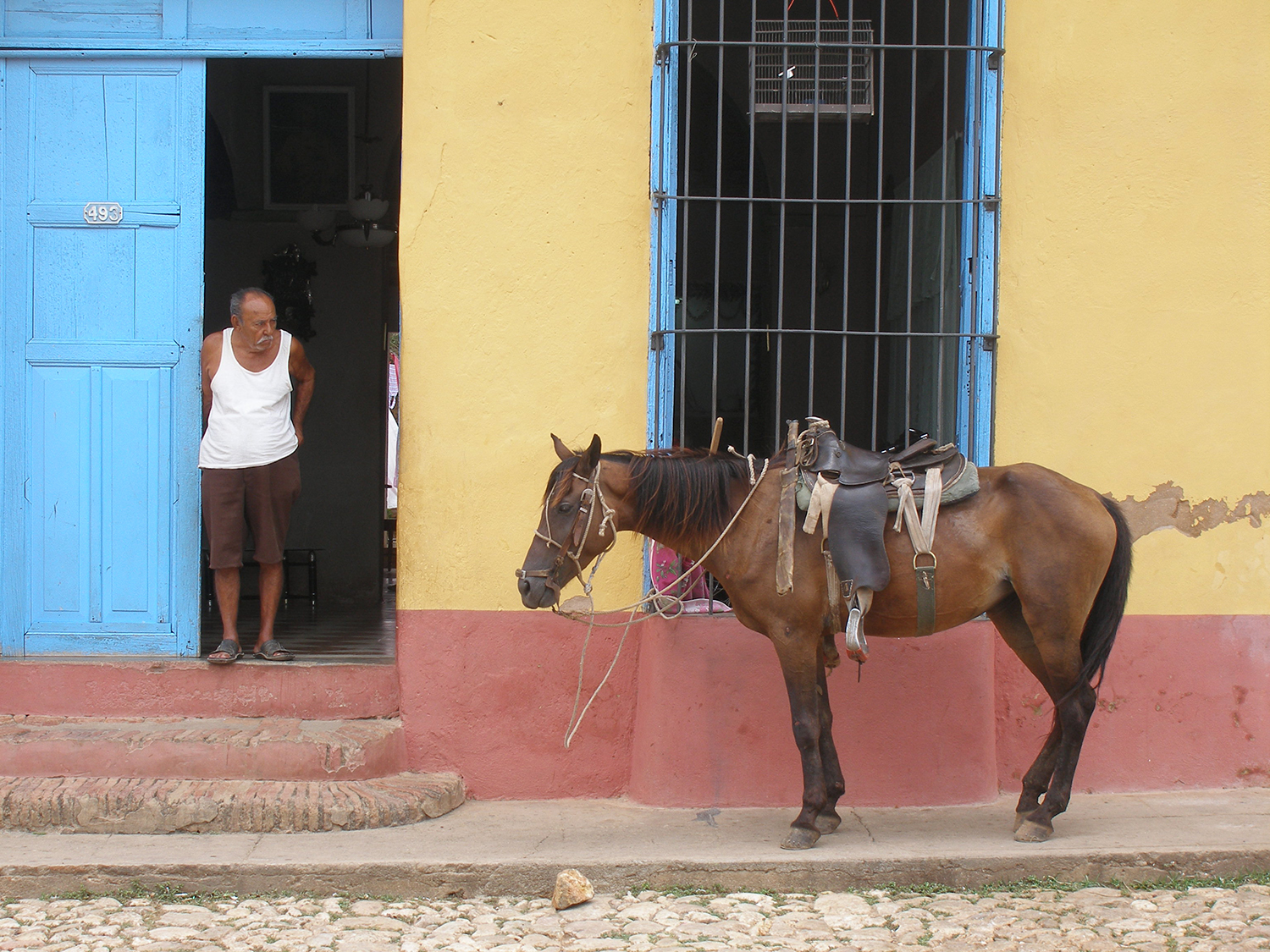 Cuba_Horse_Parked_Outside_Trinidade.jpg