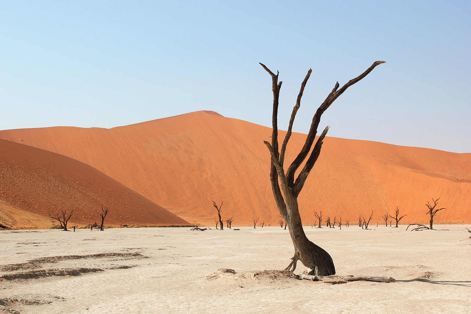 Africa_Deadvlei_Namibia.jpg