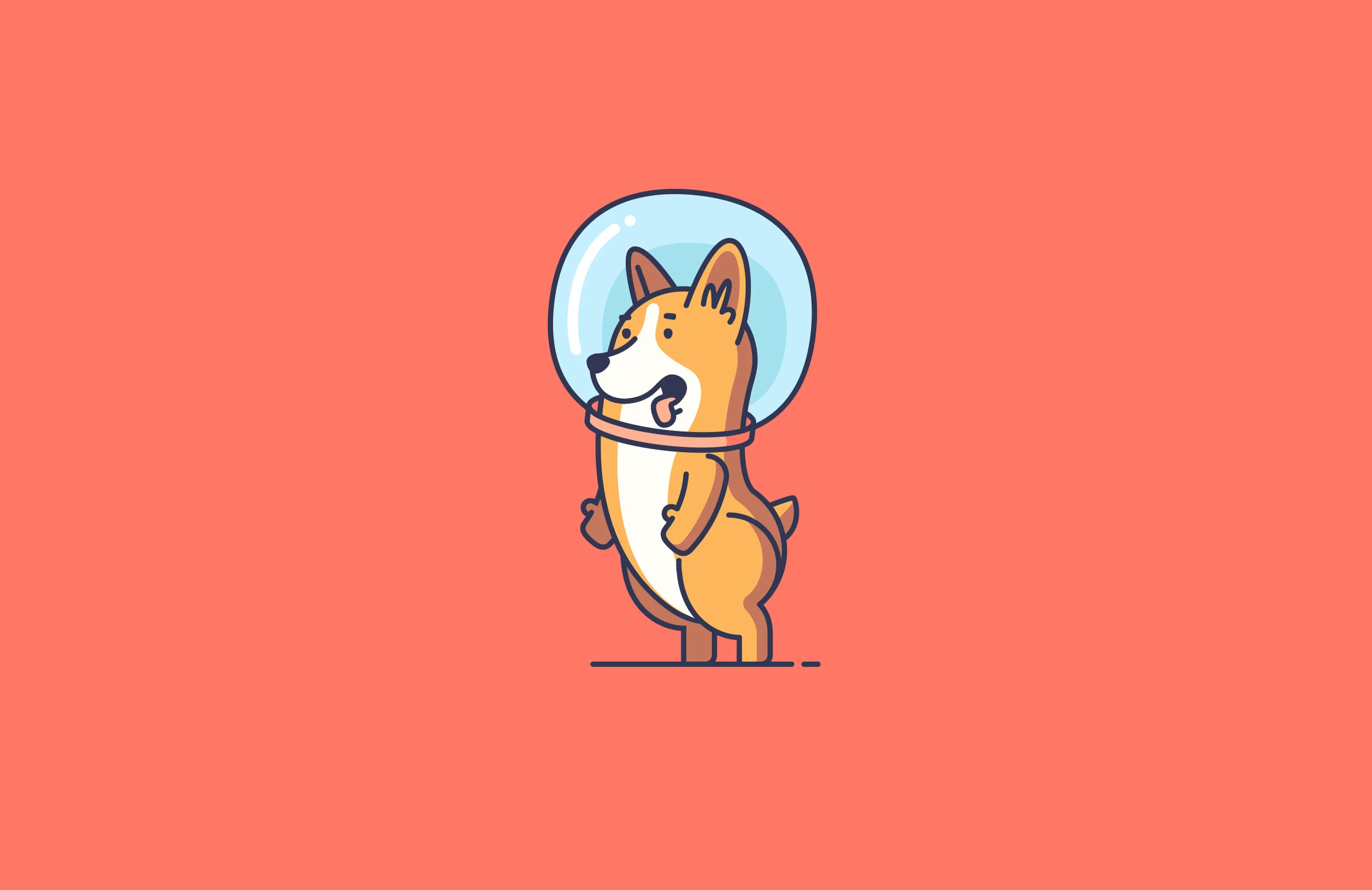 corgi.jpg
