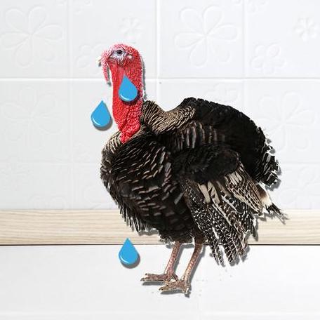Sad Thanksgiving Stories We Hope are Worse Than Yours This Year
