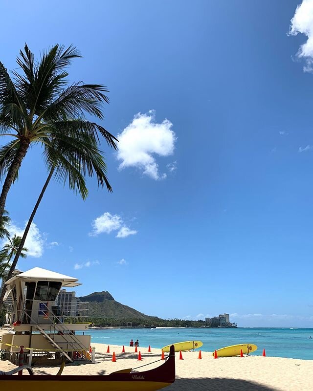 No tag, no tourist. Hawaii is still closed. ✌🏽