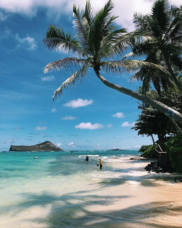 #flashbackfriday to Waimanalo days. 🌴#hawaii