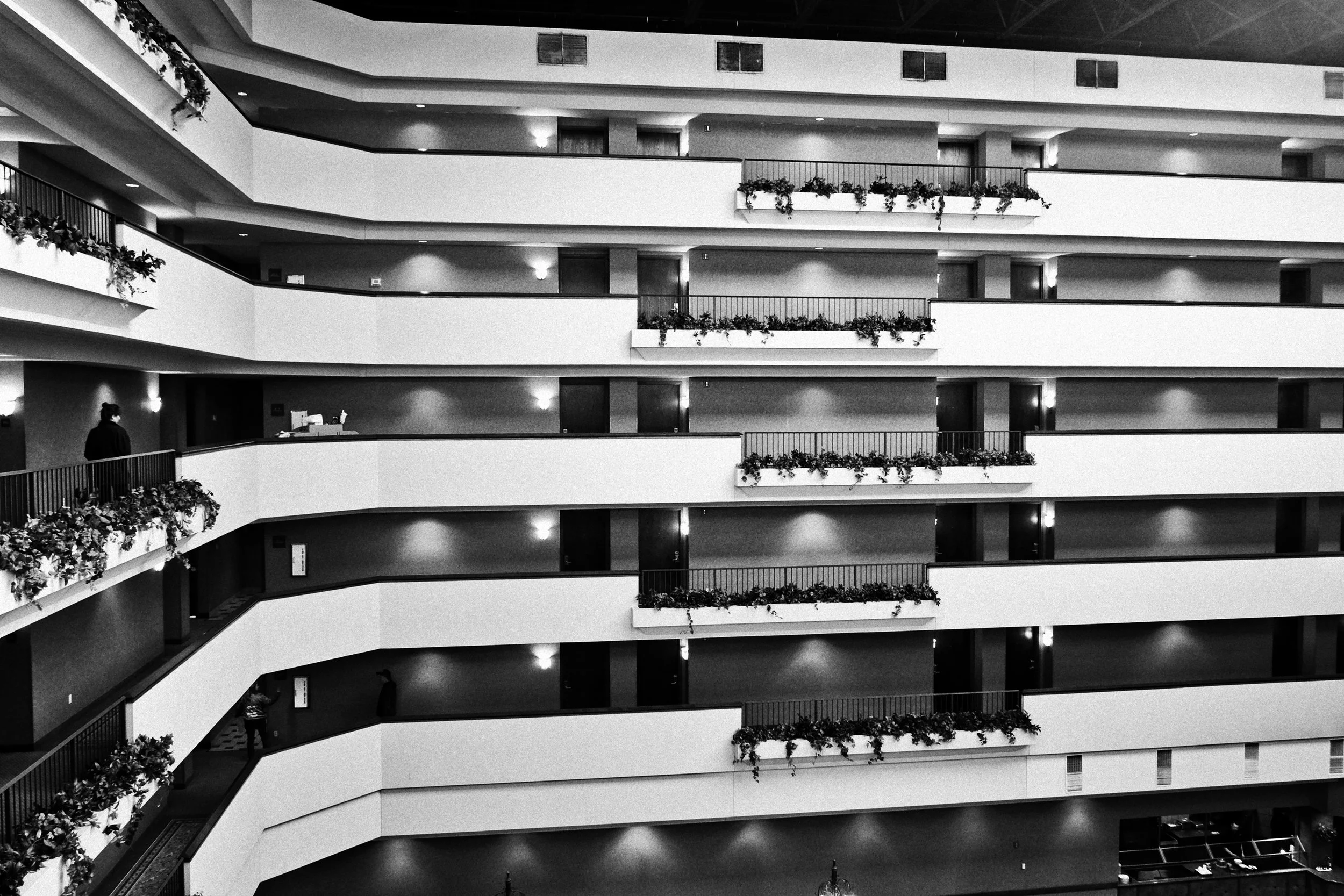 Lines at the Hotel