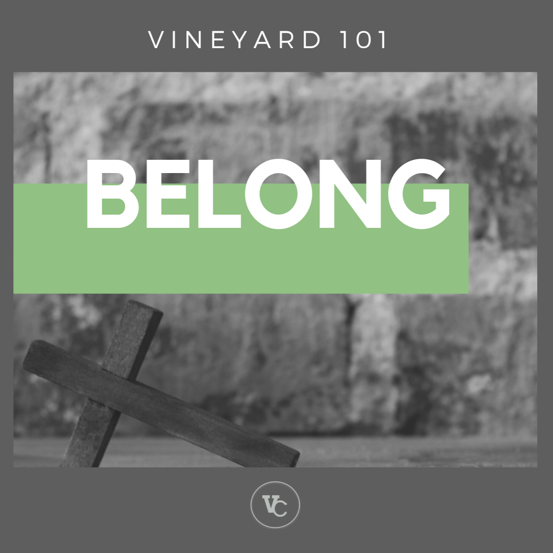 Vineyard 101