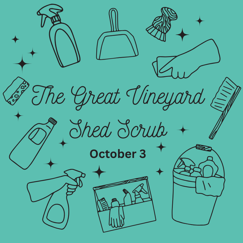 The Great Vineyard Shed Scrub Graphic