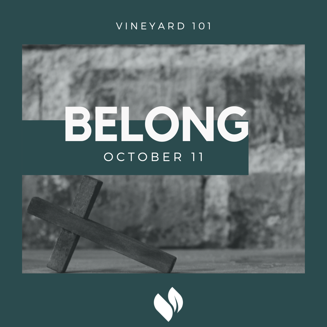 Belong - Vineyard 101 graphic