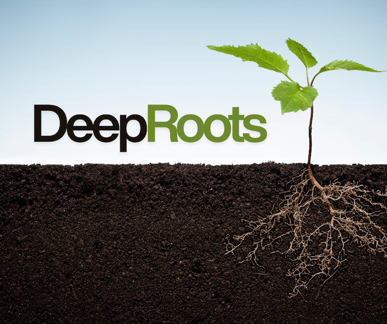 Deep Roots sermon graphic