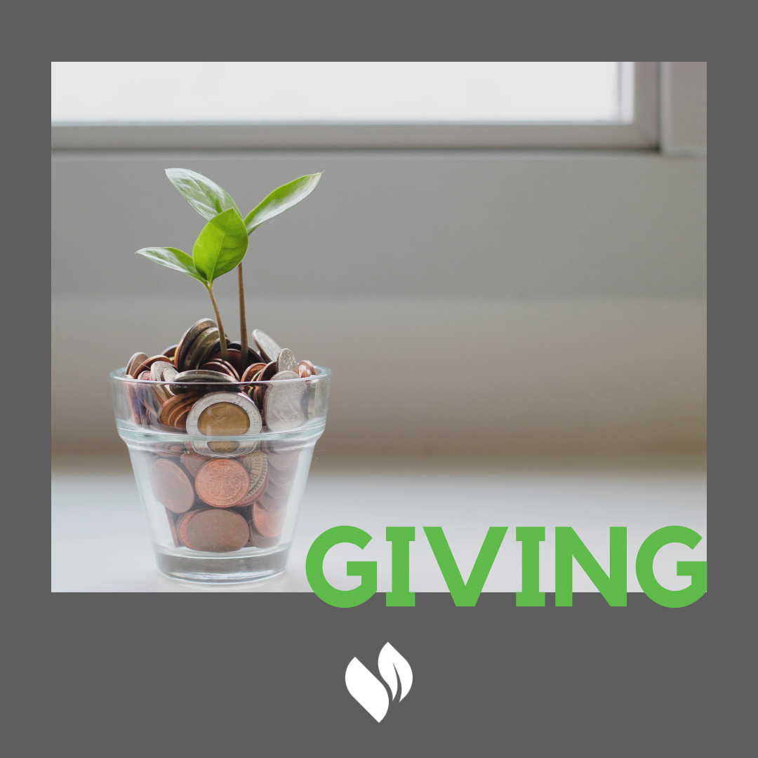 Donate to the Vineyard