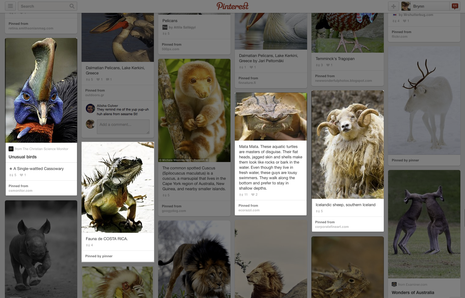 Screen Shot 2014-07-22 at 12.55.29 PM.png