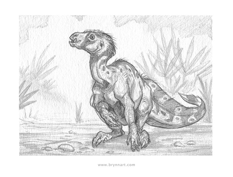 Heterodontosaurus