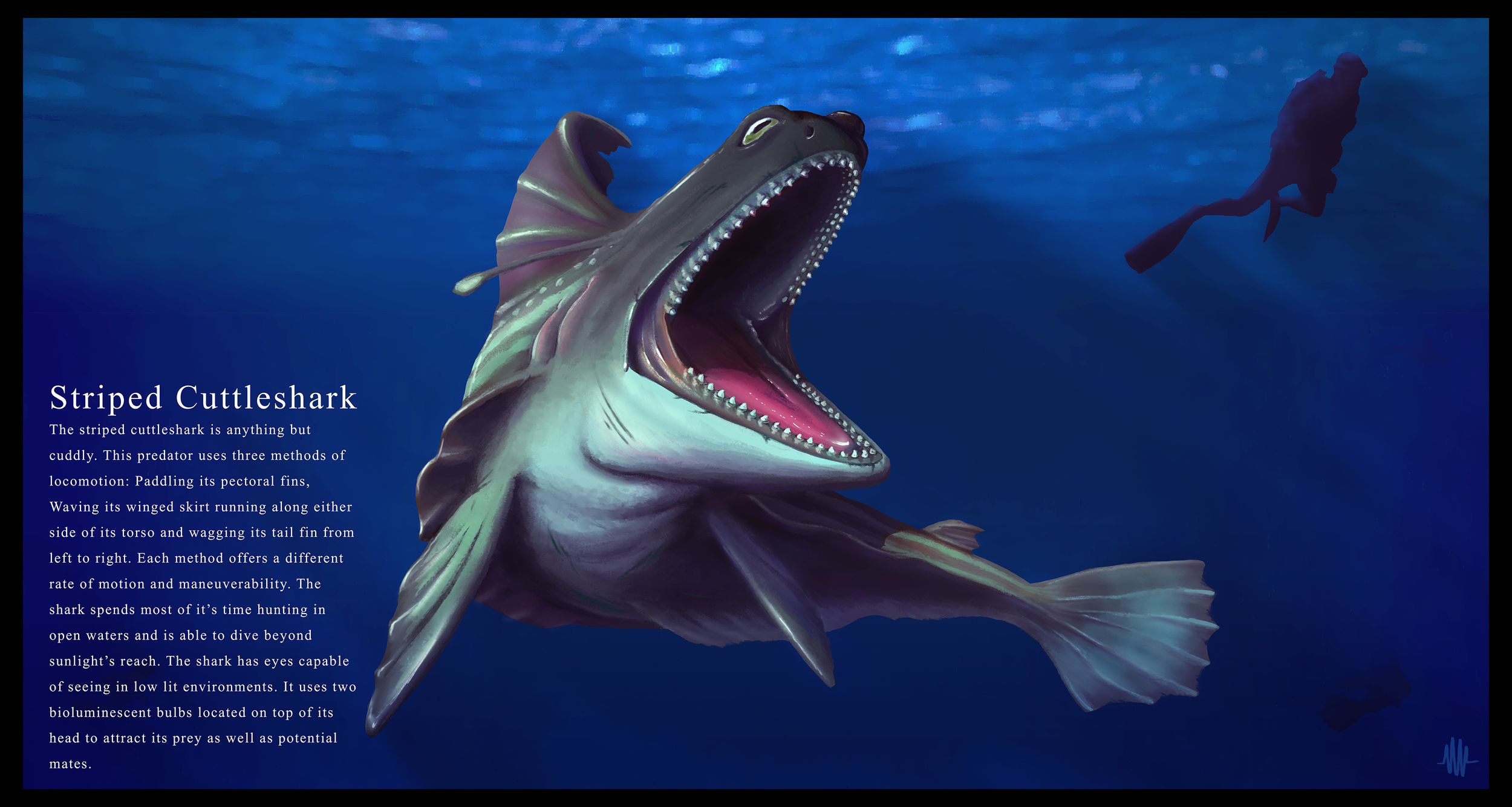 Striped Cuttleshark by Nicholas Williams : https://www.artstation.com/artist/nickwilliams