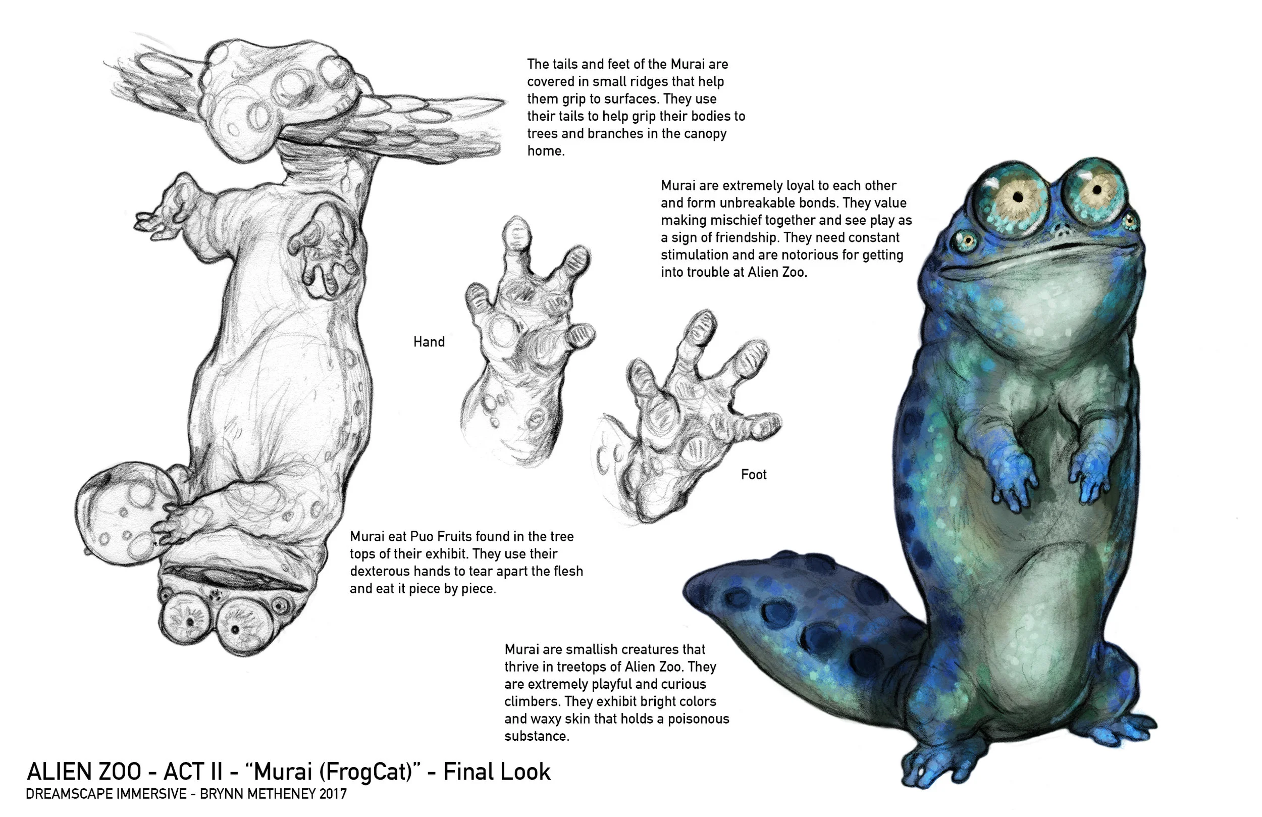 AlienZoo-FrogCat-FInalLook-Blue-BrynnMetheney.jpg