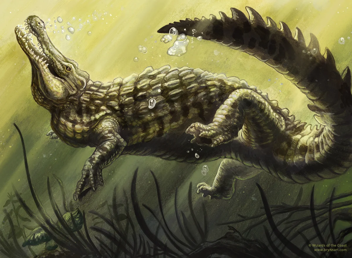 Croc-BrynnMetheney.jpg