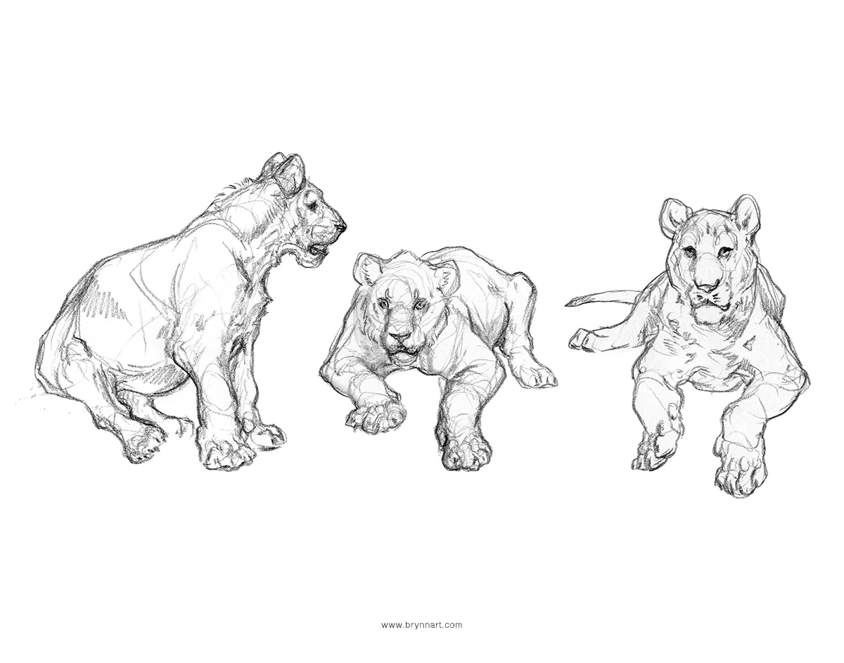 Group1-BigCats2.jpg
