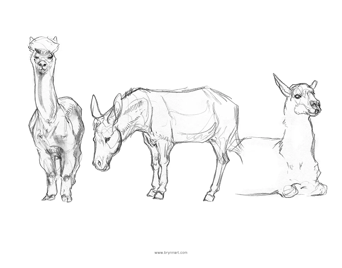 Group1-Farms.jpg
