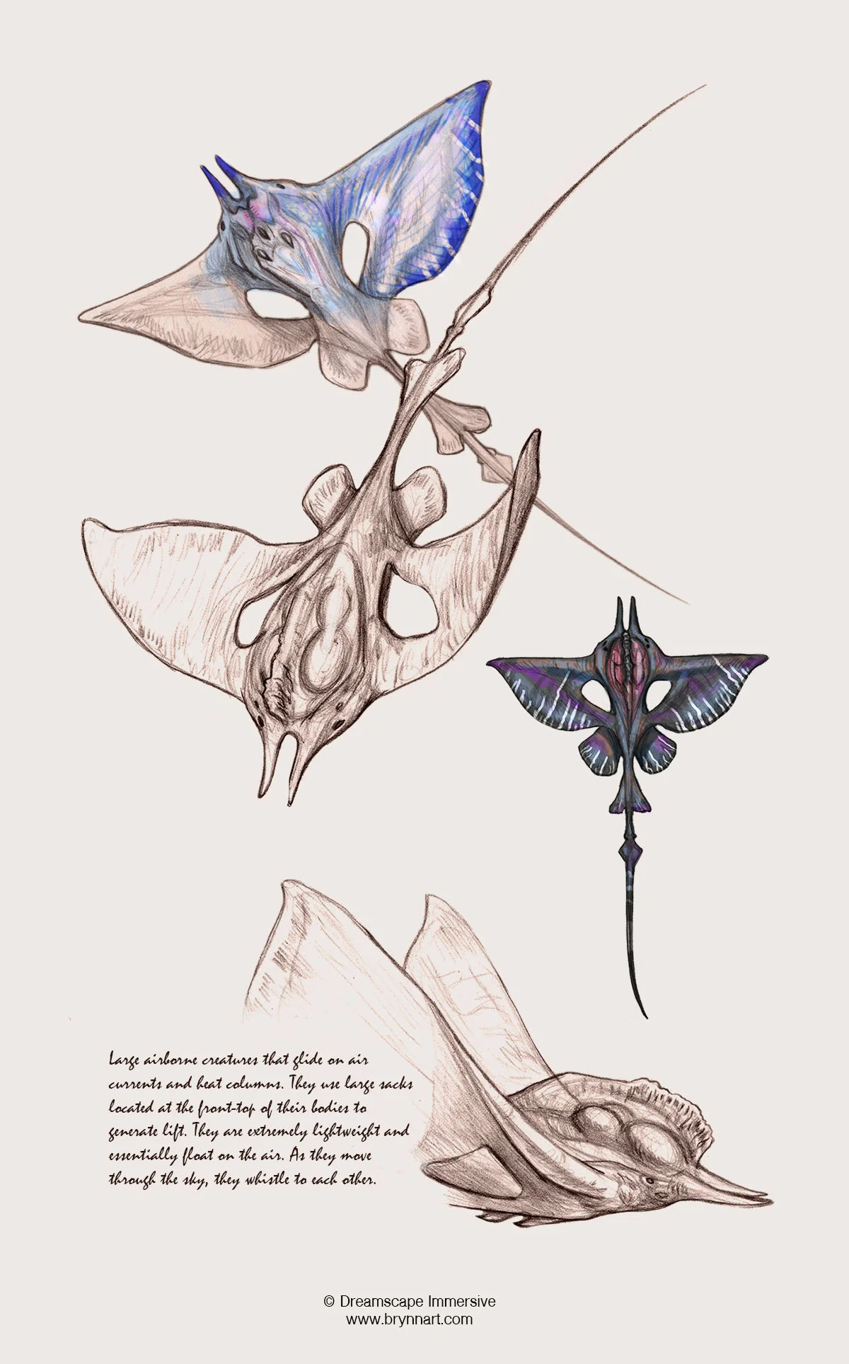 skyray-BrynnMetheney.jpg