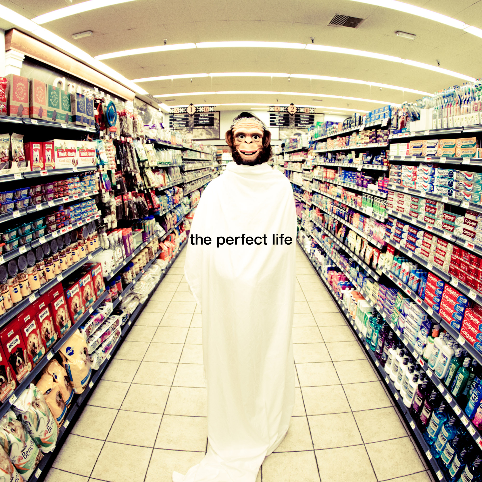 Moby - The Perfect Life (with Wayne Coyne)