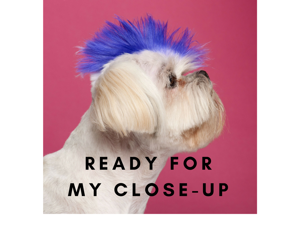 Ready for my closeup.png