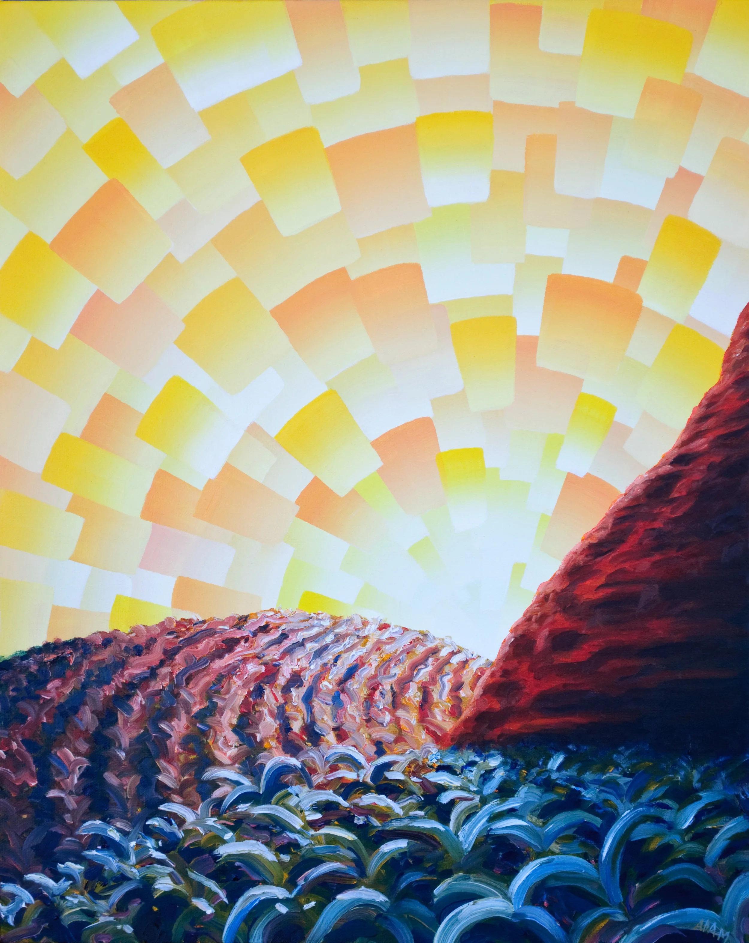 Fields of Aloha NEW.JPG
