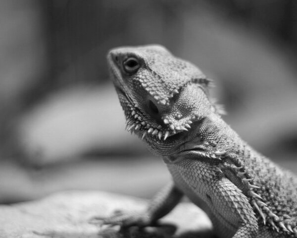 IMG_4760.jpeg