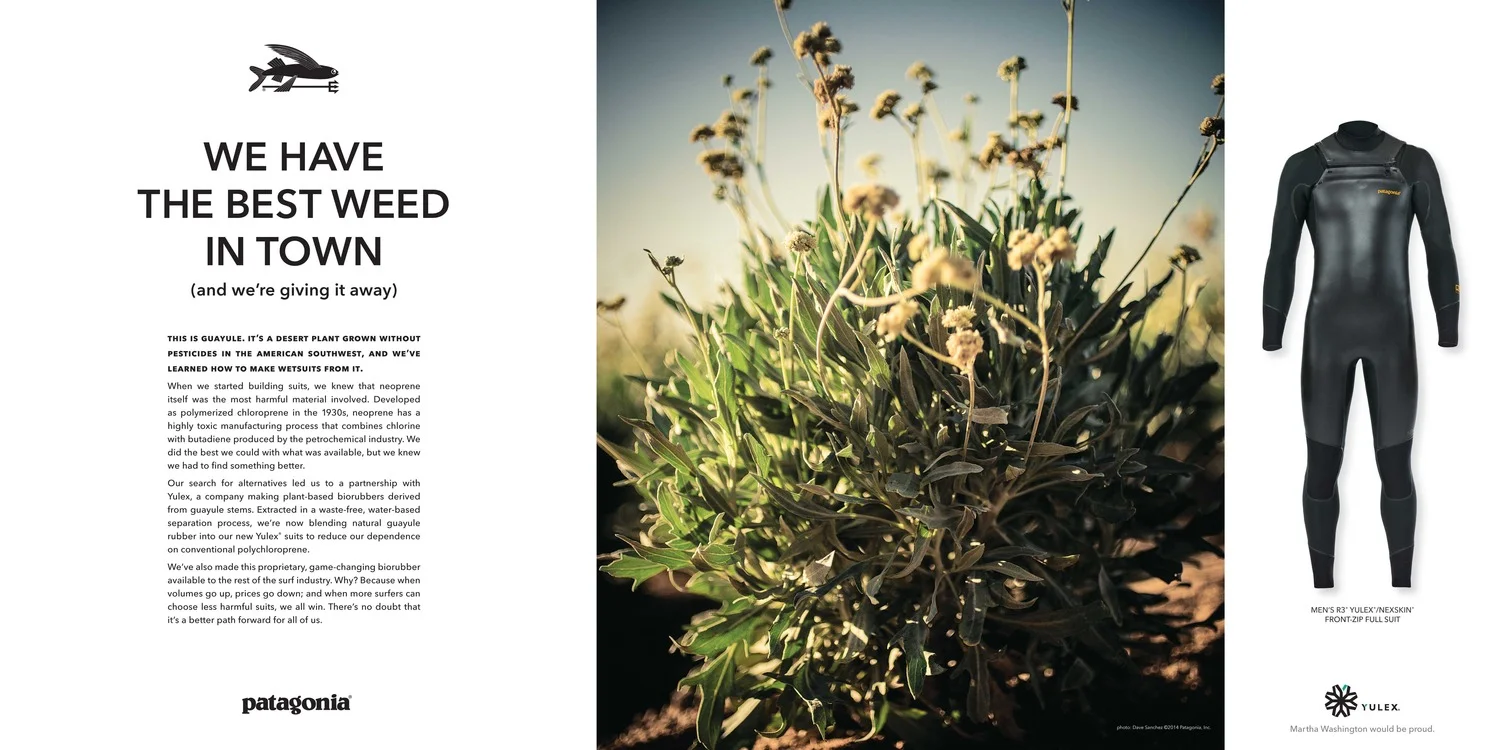 New Patagonia Ad: Best Weed in Town