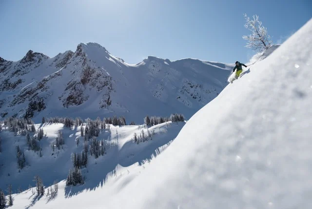 3 New Snow Ambassadors Join the Patagonia Family.