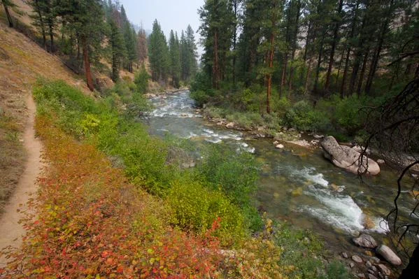 Free The Snake: Restoring America’s Greatest Salmon River