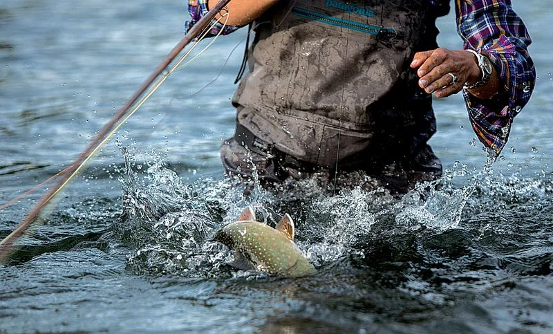 PATAGONIA LAUNCHES ALL NEW LINE OF FISHING WADERS FOR SPRING 2016