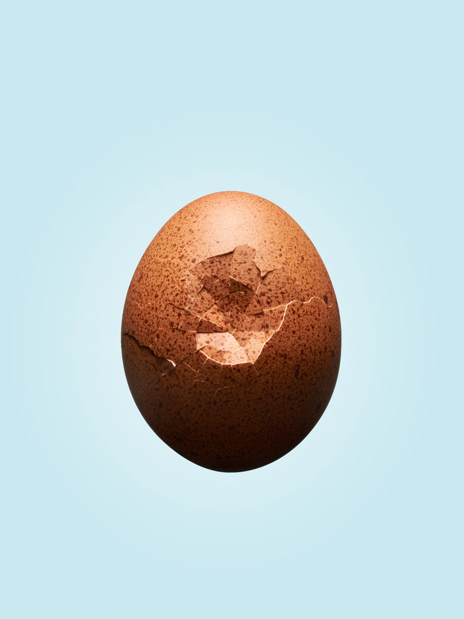 20160225 Cracked Egg-62172 hero.jpg
