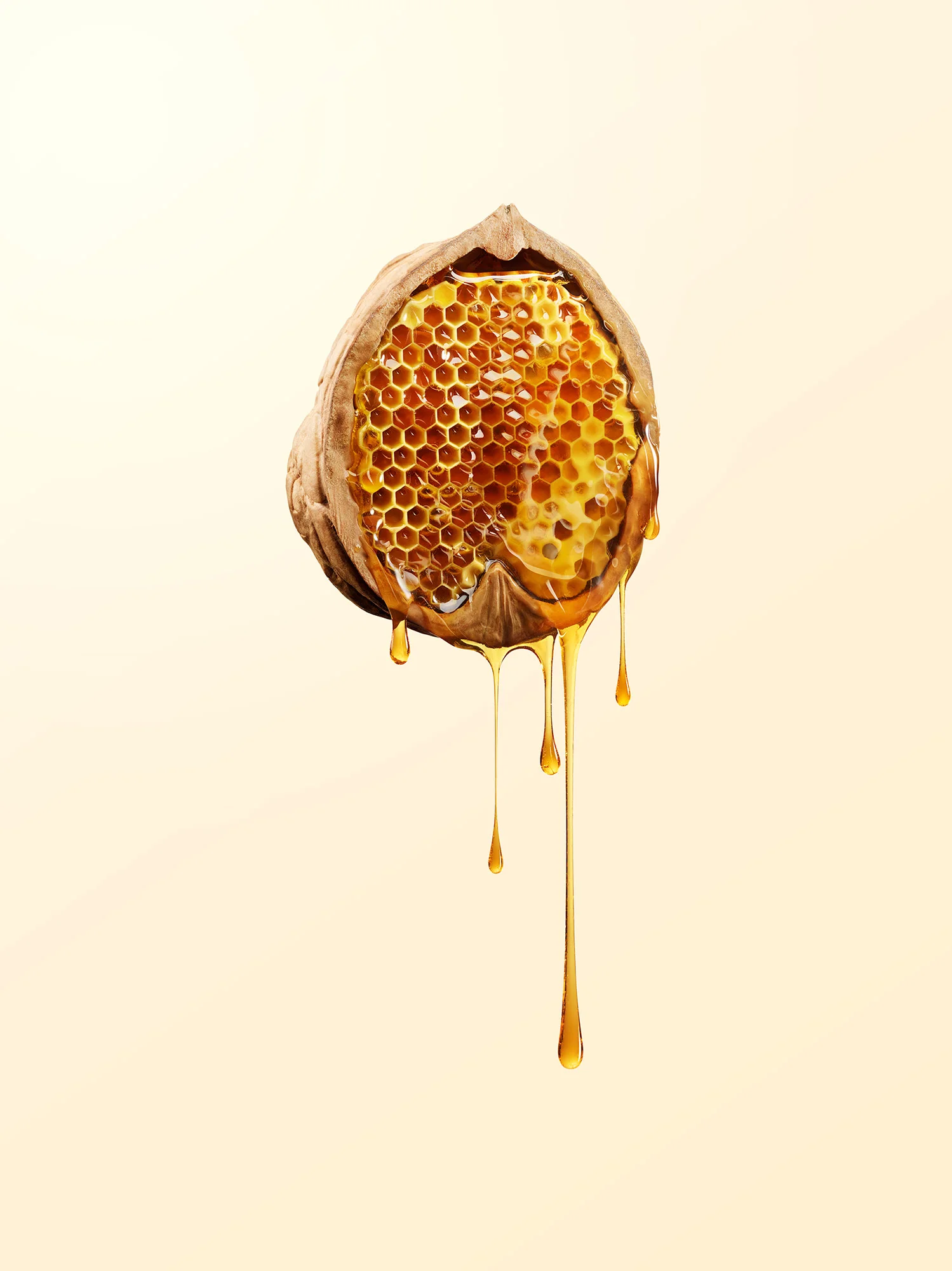 SH_Haagen-Dazs_03.jpg