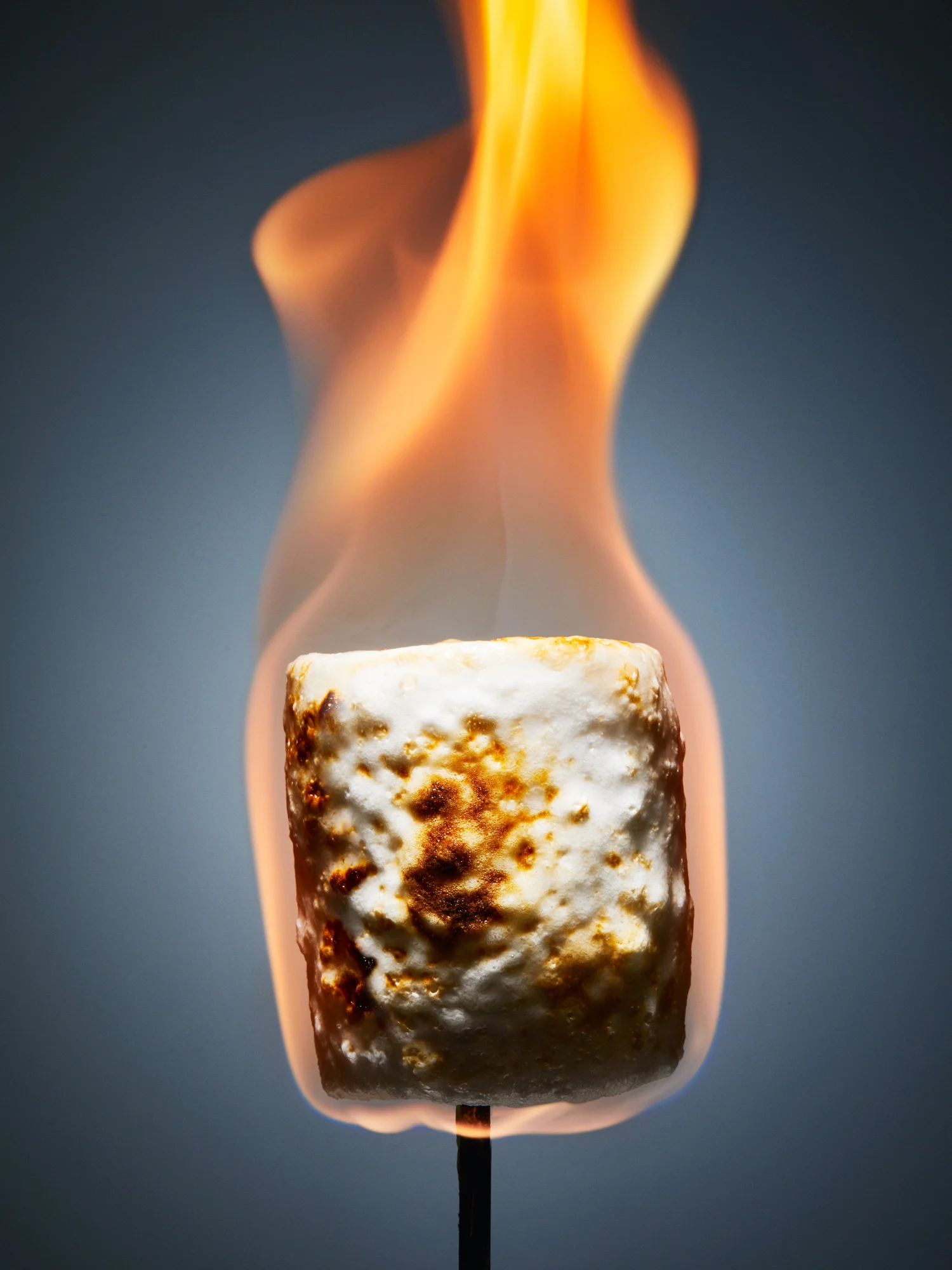 20161018 Marshmallow-0409 1.jpg