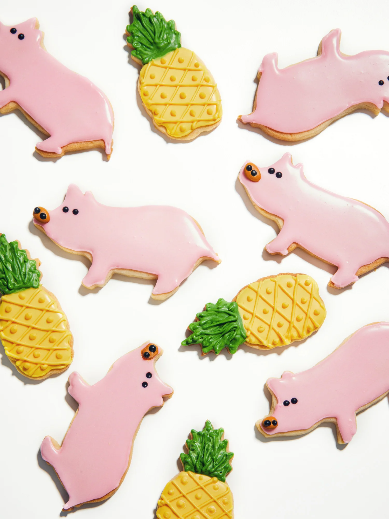 20161018 Pigs-0534.jpg
