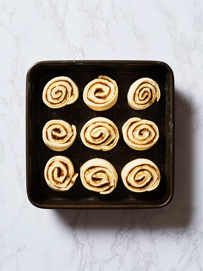 Cinnabun2.gif