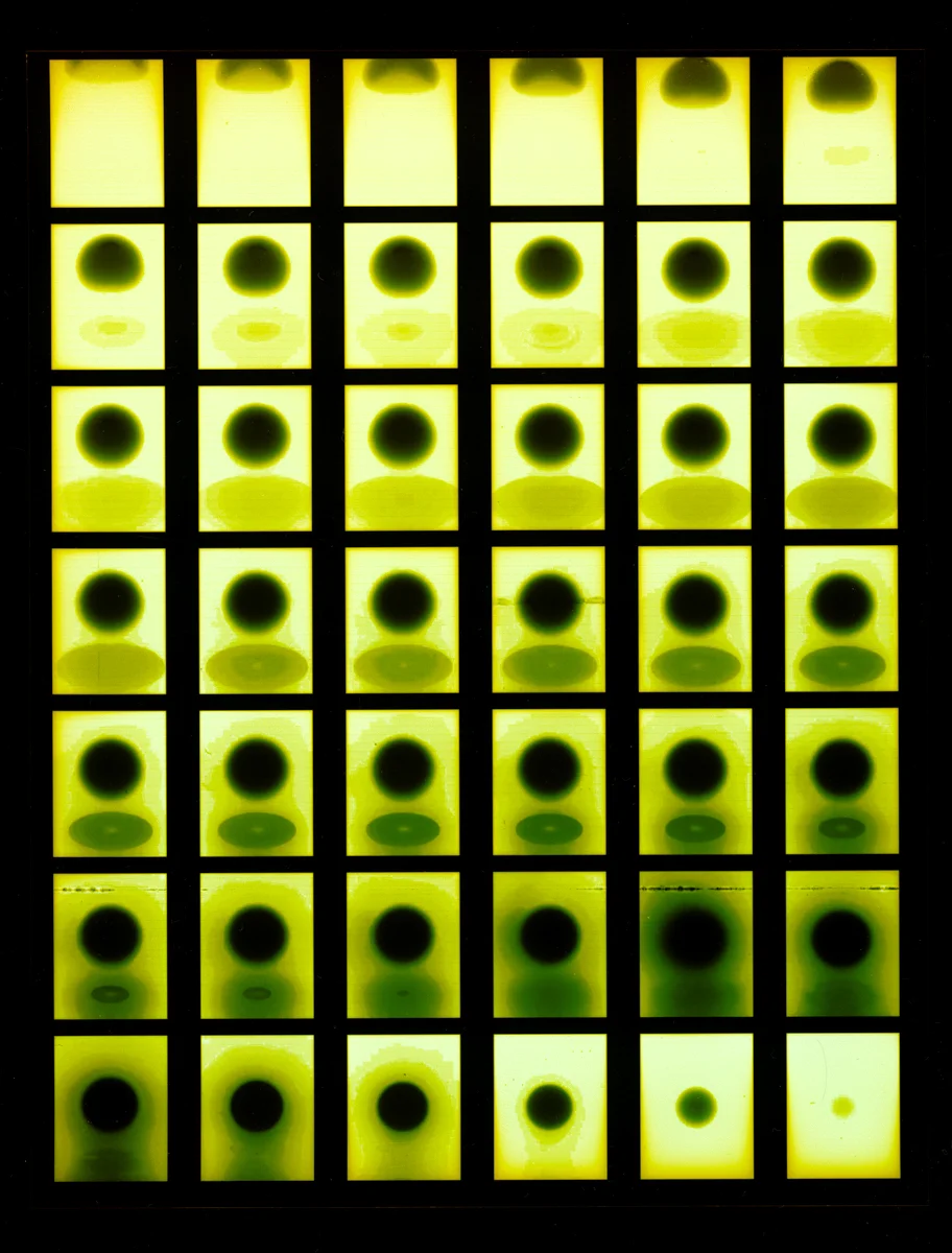 NM NC Test Print1 5.jpg