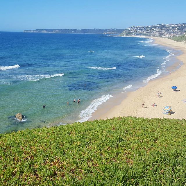 Happy first day of Summer!! It's so beautiful here in Newcastle this morning. The beauty of all the beaches makes me feel so grateful #gratitude #mindfulness #positivevibes #feedyourmind #beaches #newcastlensw #lovewhereyoulive #happiness #summertime