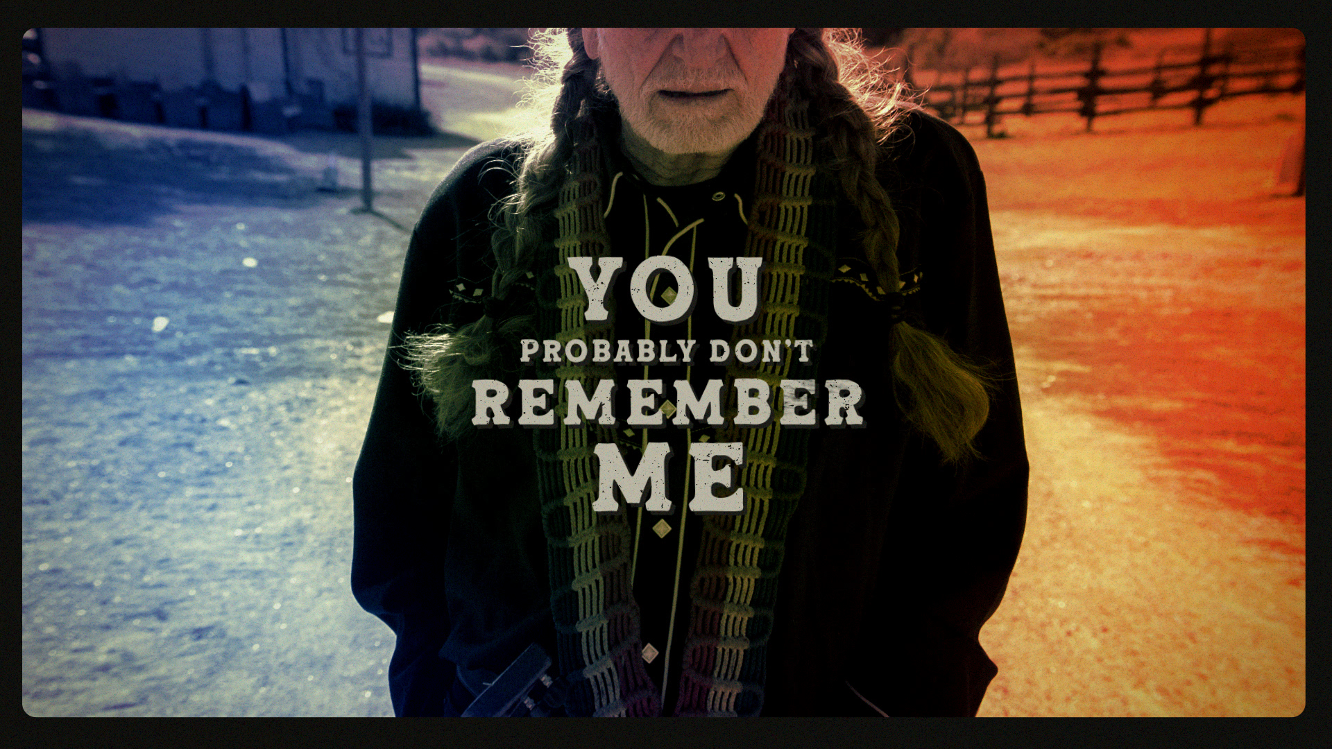 WillieNelson_ILYTTDID_v110974.png