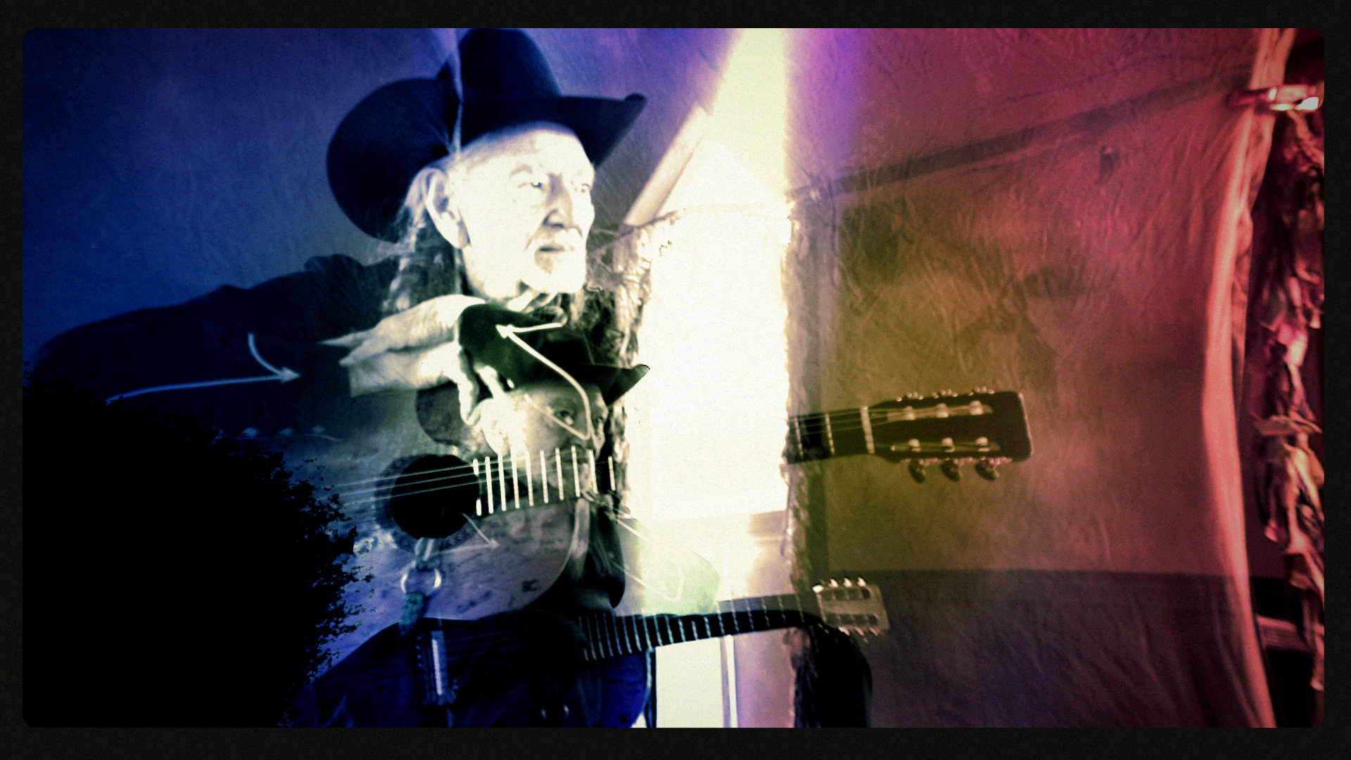 WillieNelson_ILYTTDID_v113431.png