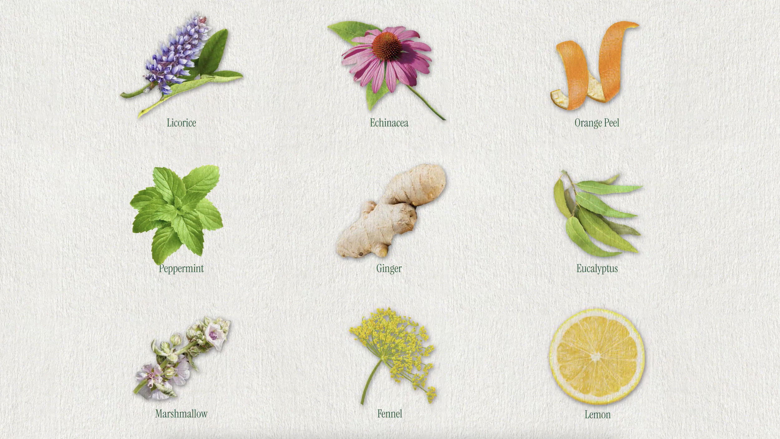 Screenshot 2025-05-15 at 1.42.45 PM.png