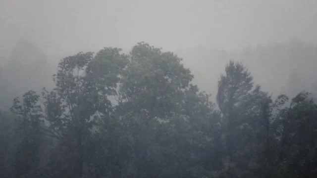 Appalachian Rain